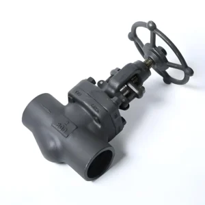 A105N Forged Steel Sleeve Welding Socket Thread NpT 800LB High Temperature and High Pressure Globe Valve J61H
