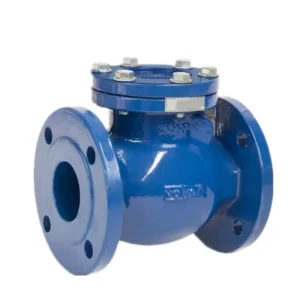 ANSI 6 Inch PN16 Flange Type Cast Steel Swing Check Valve Manual Water