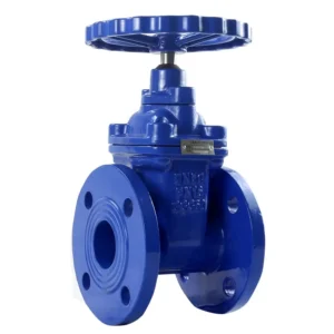 ANSI API BS5163 F4 PN16 8 Inch Flanged Ductile Iron Water Gate Valve