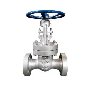 ANSI Carbon Steel Gate Valve 1500 lb