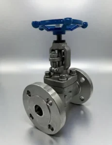ANSI DN25 316 Stainless Steel Flange X Flange Globe Valve Manual Shutoff Wheel Handle Water Normal Temperature