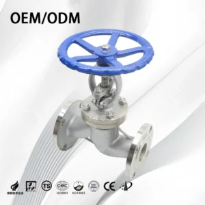 ANSI Insulation Industrial Flanged Globe Valve Stainless Steel High Temperature Resistant Flange Insulation Stop globe Valve
