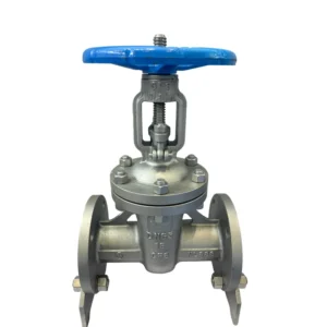 ANSI Manual Power SS304 Gate Valve Turbine Rising Stem Stainless Steel Soft Sealed Gate Valve