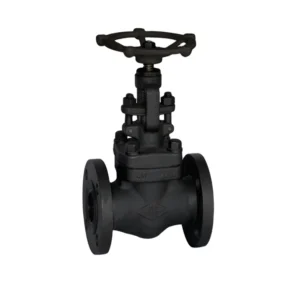 API ANSI DIN JIN BS Forged Steel Flange Globe Valve SS304 306L F5 11 22