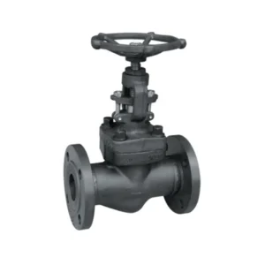 API Factory High Pressure Class150 Forged Steel A105 SS Flange Globe Valve