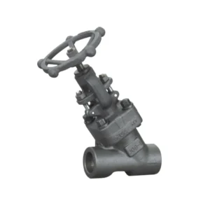 API Factory High Pressure Forged Class800 A105 SS SW Welded Y Type Globe Valve