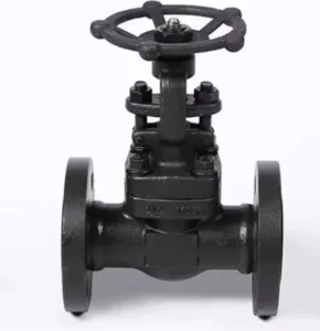 API Forged Steel Flange Globe Valve