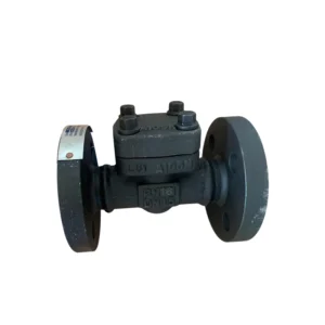 API High Pressure Forged Steel Lift Check Valve Class600