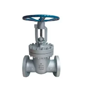 API600 Class 600 OS&Y Dn50-Dn600 Cast Steel Gate Valve