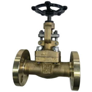 API602 Design C95800 Aluminium Bronze Manual Operated On/Off Forged Globe Valve Flange Connection Sea Water OEM Coal