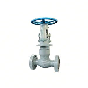 ASME B16.34 Cryogenic Globe Valve – American Standard for LNG/LOX Application