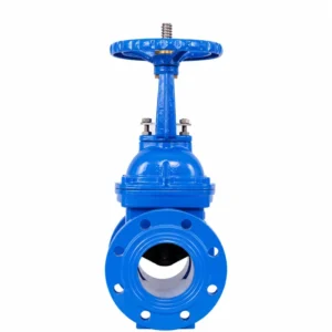AWWA C515 Resilient Seated Gate Valve 4 Inch 6 Inch Ductile Iron EPDM Flanged Mechanical Joint NRS 250PSI Waterworks NSF61