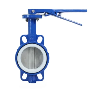 Acid Compatible Manual PTFE Butterfly Valve with Cast Steel Body Two Seals CE Approved