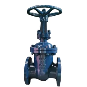 Alloy Steel Gate Valve Z41Y 16IV Chromium Molybdenum High Temperature Flanged Valve