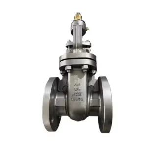 American Standard Hastelloy Gate Valve HC276 Special Material Flange Gate Valve