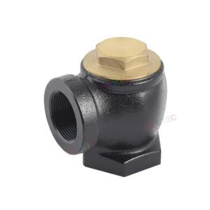 Angle Check Valve Safety Valve 2 Inch