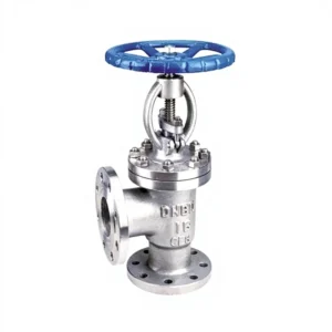 Angle Globe Valve 316 Stainless Steel Bonnet Carbon Steel Disc Manual Operation High Temperature Resistance Oil Gas Water