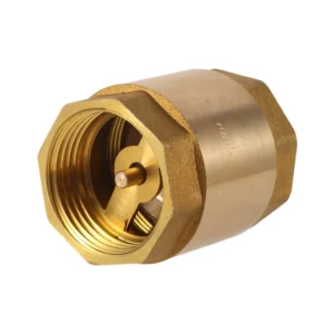 Anti Backflow National Standard Manual Water Check Valve 1/2 4 Inch Threaded Brass Vertical Spring H12w