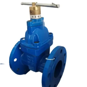 Anti Theft Manual Lockable Water Gate Valve with Magnetic Lock Key Tightly Protected Sturdy and Durable