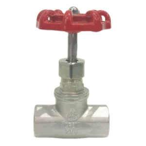 B Type Stainless Steel Industrial J11w 16 Female Threaded Globe Valve Straight for Water Gas Oil DN15 Dn100 High Manual