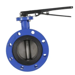 BS515 PN 16 Manual Water Work Concentric Flanged Butterfly Valve with CE Approval 2in Port Size 18M Warranty