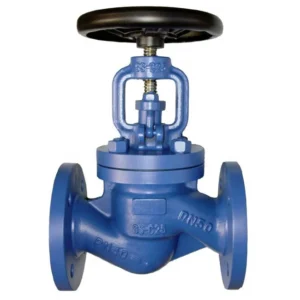 BS5152 Cast Iron Flange Globe Valve