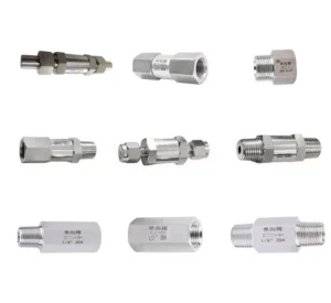 BSPP NPT Female Threaded Check Valve Spring Loaded Check Valve 304 Stainless Steel Non-Return Valve for Oil & Gas