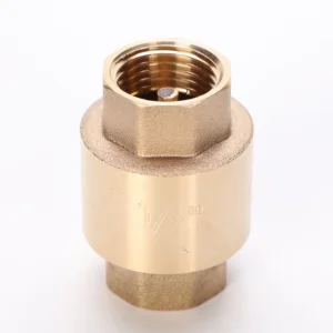 Brass Check Valve 1/2-2 Spring Loaded Non Return Valve for Water