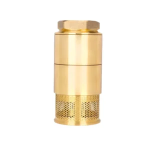 Brass Foot Check Valve External Threads for Gasoline Diesel Kerosene One-Way Bottom Valve 1.5″ 2″ Port Sizes China Origin