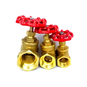 Brass Gate Valve Manufacturer High Pressure Control Safety Water Brass 3 Inch Sluice Valve General