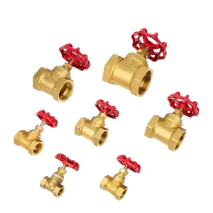 Brass Globe Valve Shutoff Forged Type PN20 OEM ODM Factory Price