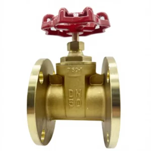 Brass Manual Flanged Gate Valve DN50 (2 Inch) T59-1 Heavy-Duty Industrial Fluid Control Valve