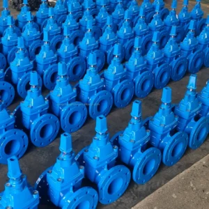 Bs5163 Flanged Resilient Seated 100MM Non-Rising Stem Direct Buried Underground Gate Valve for Water