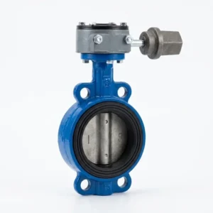 Buried Ductile Iron Flanged Butterfly Valve Worm Gear Underground Cap PN10 PN16 Water OEM Customizable