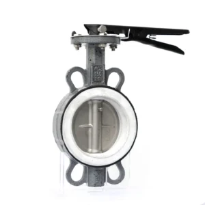 Butterfly Valve Cast Steel Fluorine Coated Gear Lug Wafer Type Butterfly Valve