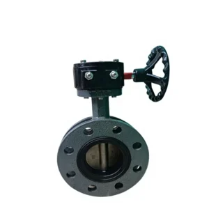 Butterfly Valve Double Flange Type 122 F7480DF122