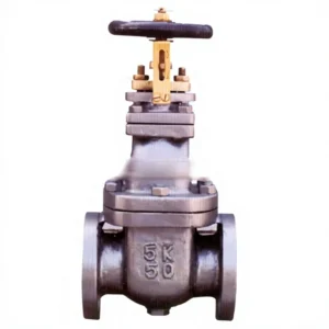 CB/T 467466 Manual Wedge Marine Flanged Bronze Gate Valve JIS/DIN/GB/AS Marine Cast Steel Gate Valve Steam/Water/Petroleum