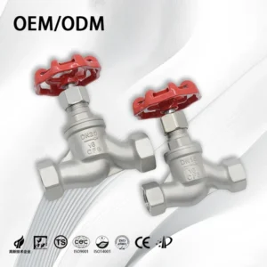 CF8 CF8M Shutoff Valves Stainless Steel Screw Globe Valve 304 316 Internal Thread NPT for OEM
