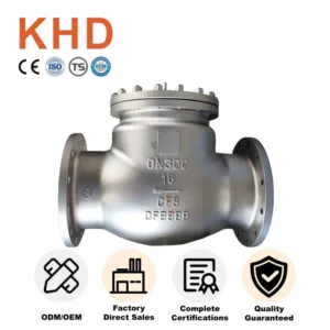 CF8 Safety Structure Manual Swing Check Valve ANSI Stainless Steel Swing Check Valve
