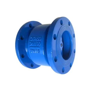 Cast Iron 1/4 Inch Flanged Check Valve for Industrial Water Supply