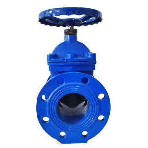 Cast Iron 12 Inch Wedge Soft Sesat Gate Valve with Rising Stem Double Flanged Gate Valves Dn300 Pn16 DN200 Gate Valve