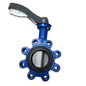 Cast Iron 4 Inch Manual Rubber Seal PTFE Lined DN50 Stainless Steel Wafer Lug Butterfly Valve