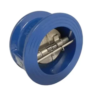 Cast Iron Double Disc WCB SS304 Wafer Type Dual Plate Check Valve