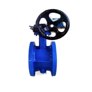 Cast Iron Double Flanged Butterfly Valve with Soft Hard Seals Manual Water Valve Turbine Design