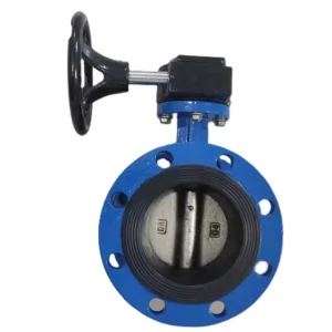 Cast Iron Ductile Iron PN16 DN50-DN80 Flange Butterfly Valve Worm Gear Butterfly Valve Manual Butterfly Valve