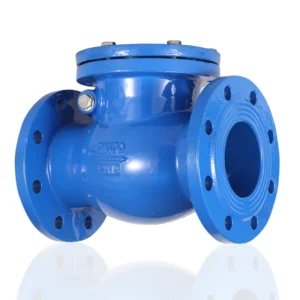 Cast Iron Flange Type Manual Water Pressure Non Slam Slow Closing Swing Check Valve