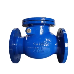 Cast Iron Flange Type Safety Manual Swing Check Valve with Brass Seat for Water Media