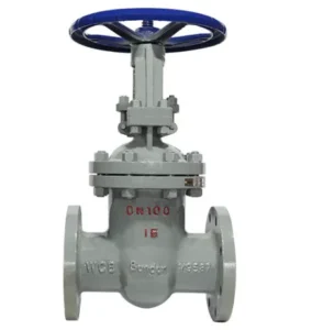 Cast Iron Gate Valve Pipeline Gate Valve