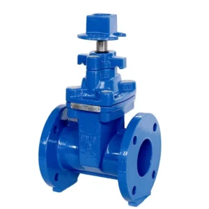 Cast Iron Gate Valve with Flanged Ends Square Nut 200PSI