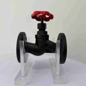 Cast Iron Globe Valve for Medium Flow Reliable Sealing for Industrial Use